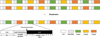 Age-related cerebral changes during different n-back tasks: a functional near-infrared spectroscopy study